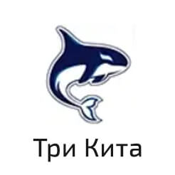 Три Кита
